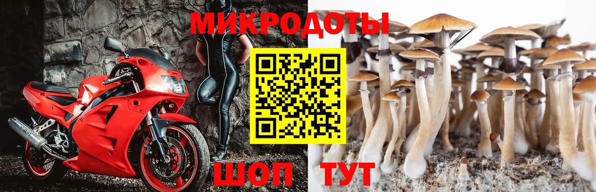 Псилоцибиновые грибы Cubensis  Вход с VPN  Спасск-Дальний 